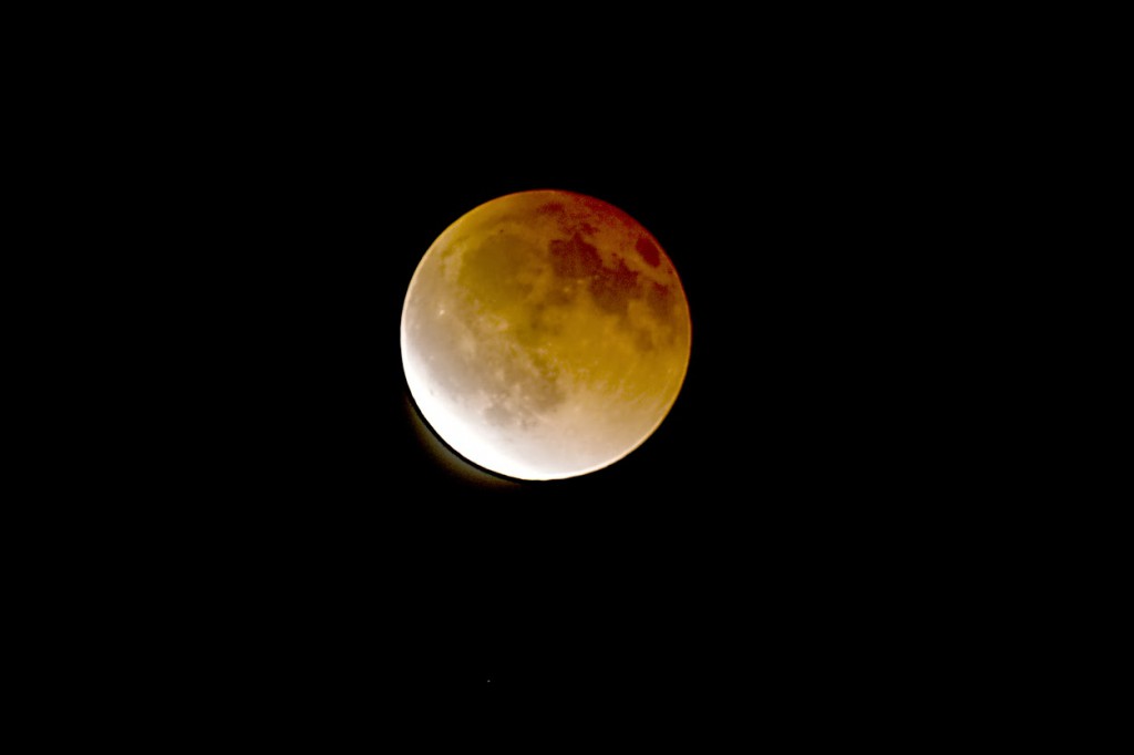 Lunar Eclipse 1:20 AM April 15