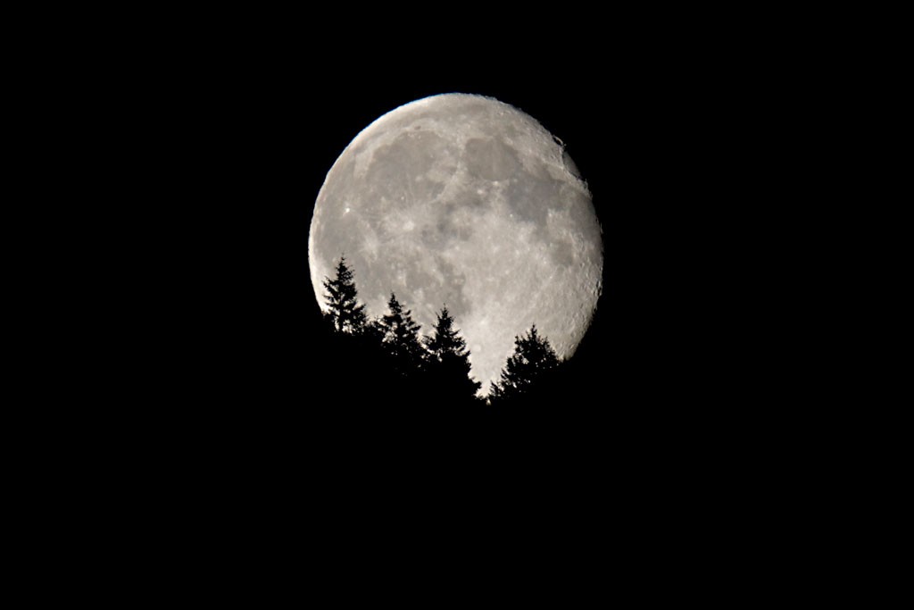 Moonrise over Saltspring Island